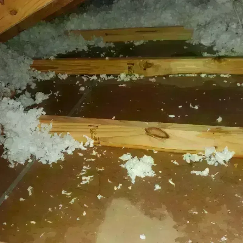 Attic Water Damage in Azusa, CA