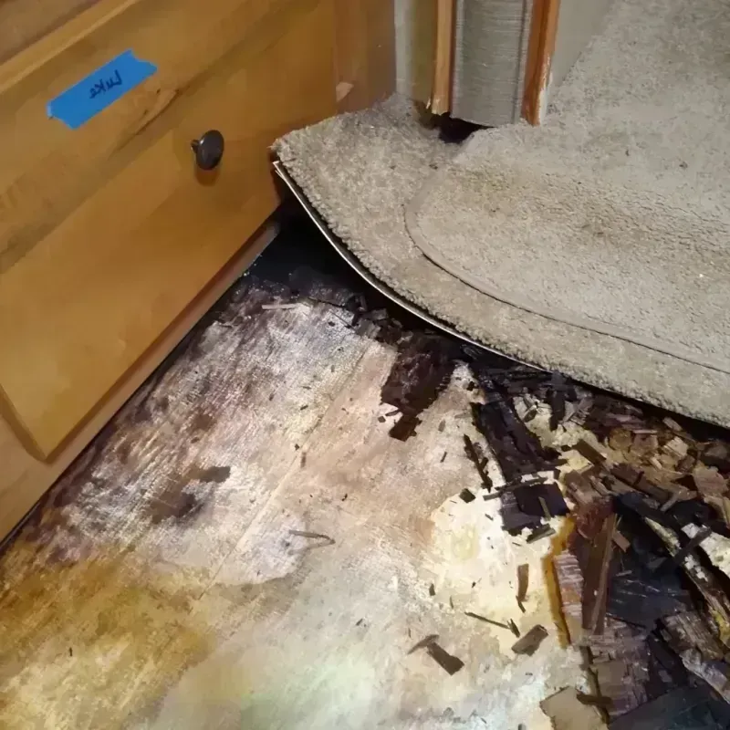 Wood Floor Water Damage in Azusa, CA